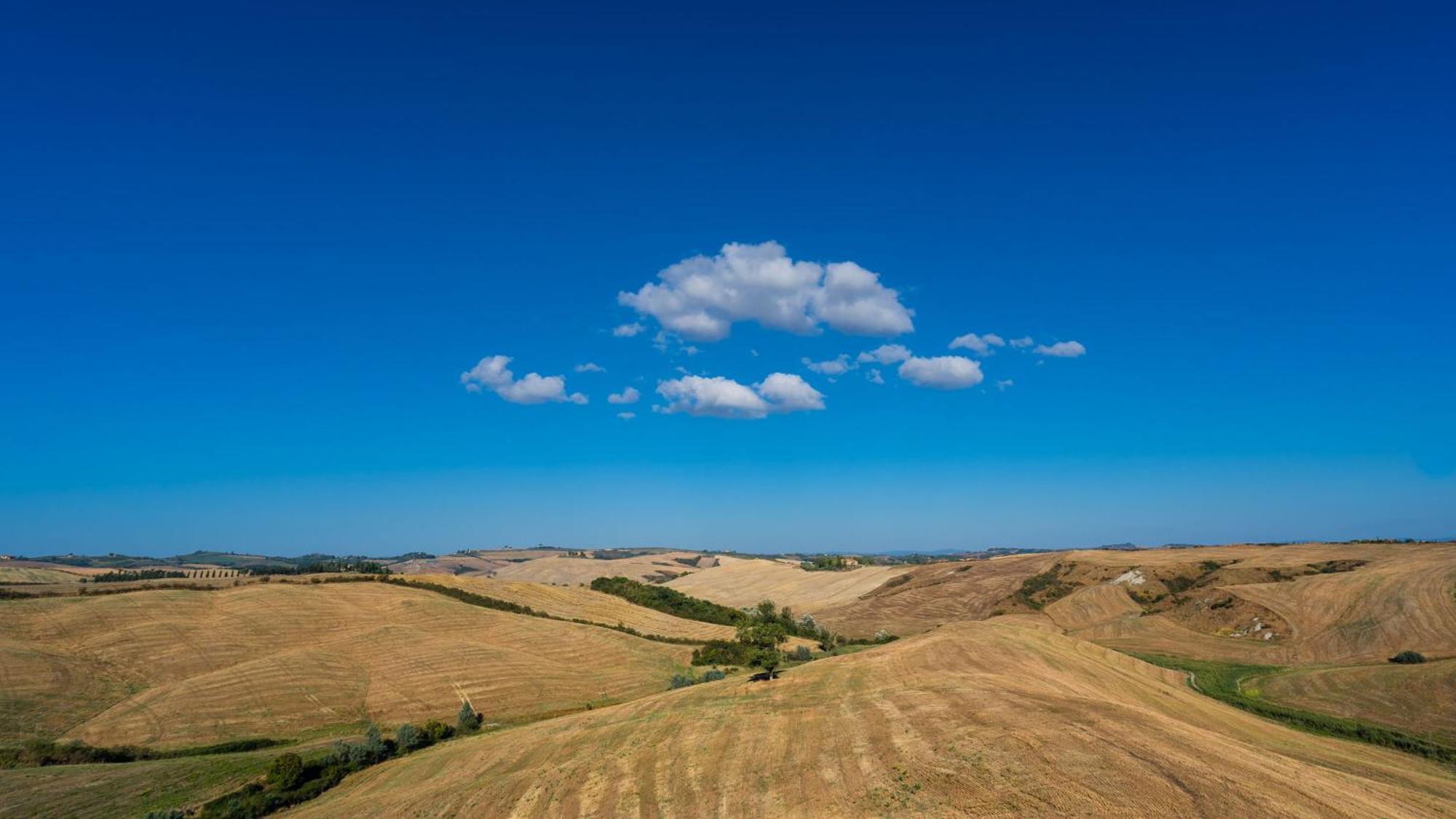 Podere Fossaccio Casa Pino Asciano Exterior foto
